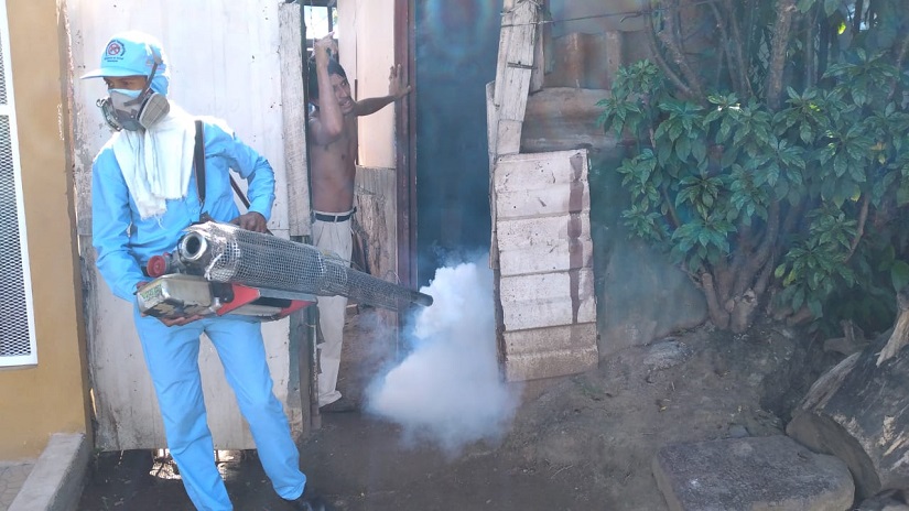 DENGUE